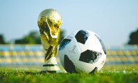 国际游泳裁判公开赛：判例公开助力裁判成长与公众理解，中国游泳协会国际裁判名单
