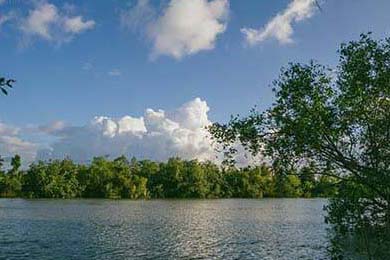 丁俊晖宣布将参加新加坡大师赛，丁俊晖新闻